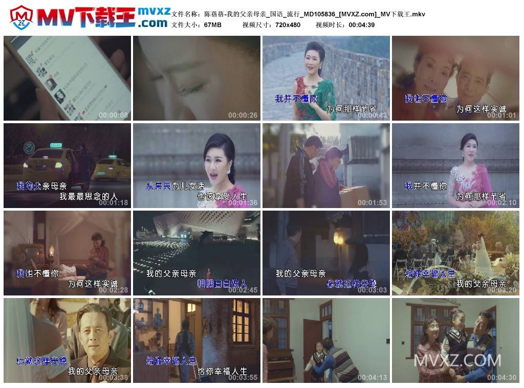 陈蓓蓓-我的父亲母亲_国语_流行_MD105836